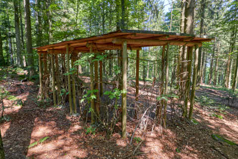 Gemeinde Sonnenwald Landkreis Freyung-Grafenau Brotjacklriegel Station nach Du Stein (Dirschl Johann) Deutschland FRG